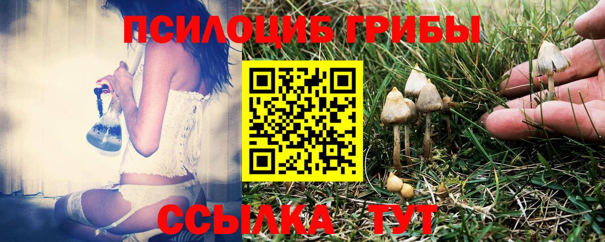 Галлюциногенные грибы MAGIC MUSHROOMS Тулун