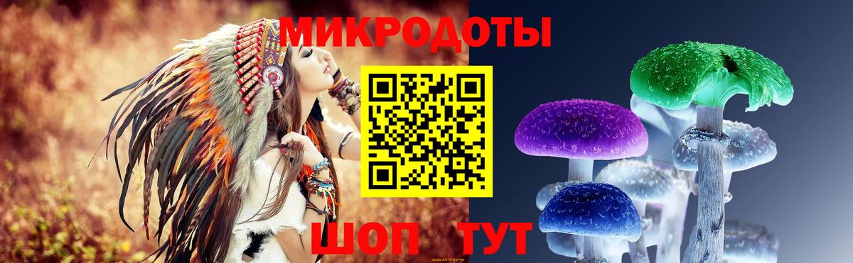 Тулун  Галлюциногенные грибы Psilocybe  Вход с VPN 